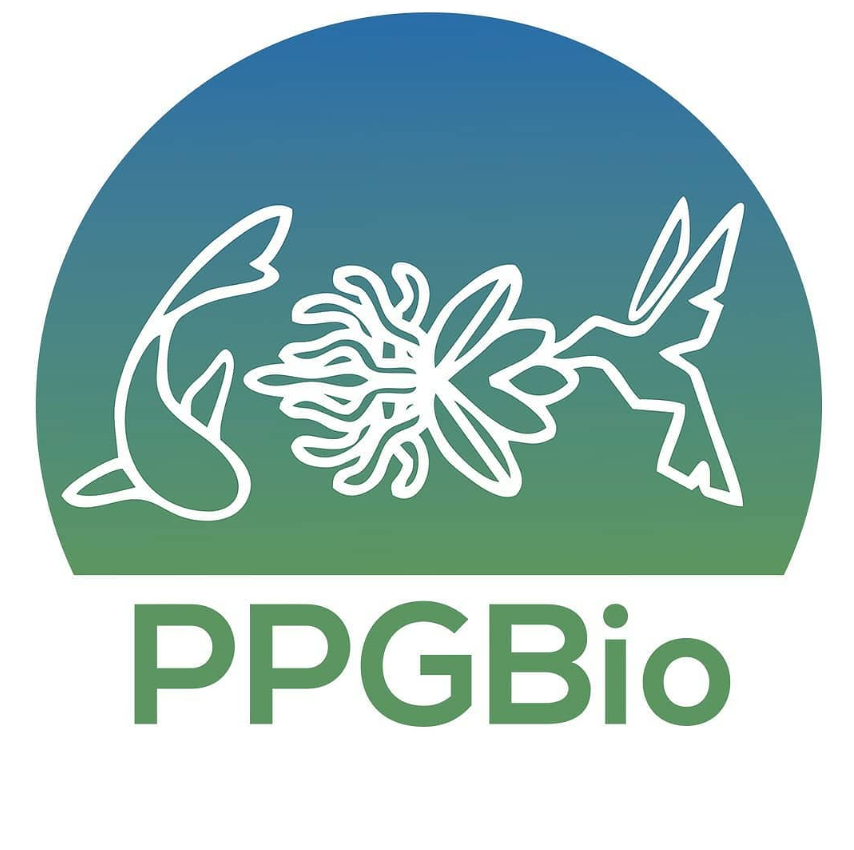 🎓 SELEÇÃO MESTRADO E DOUTORADO | PPGBio/UFRPE 🌿